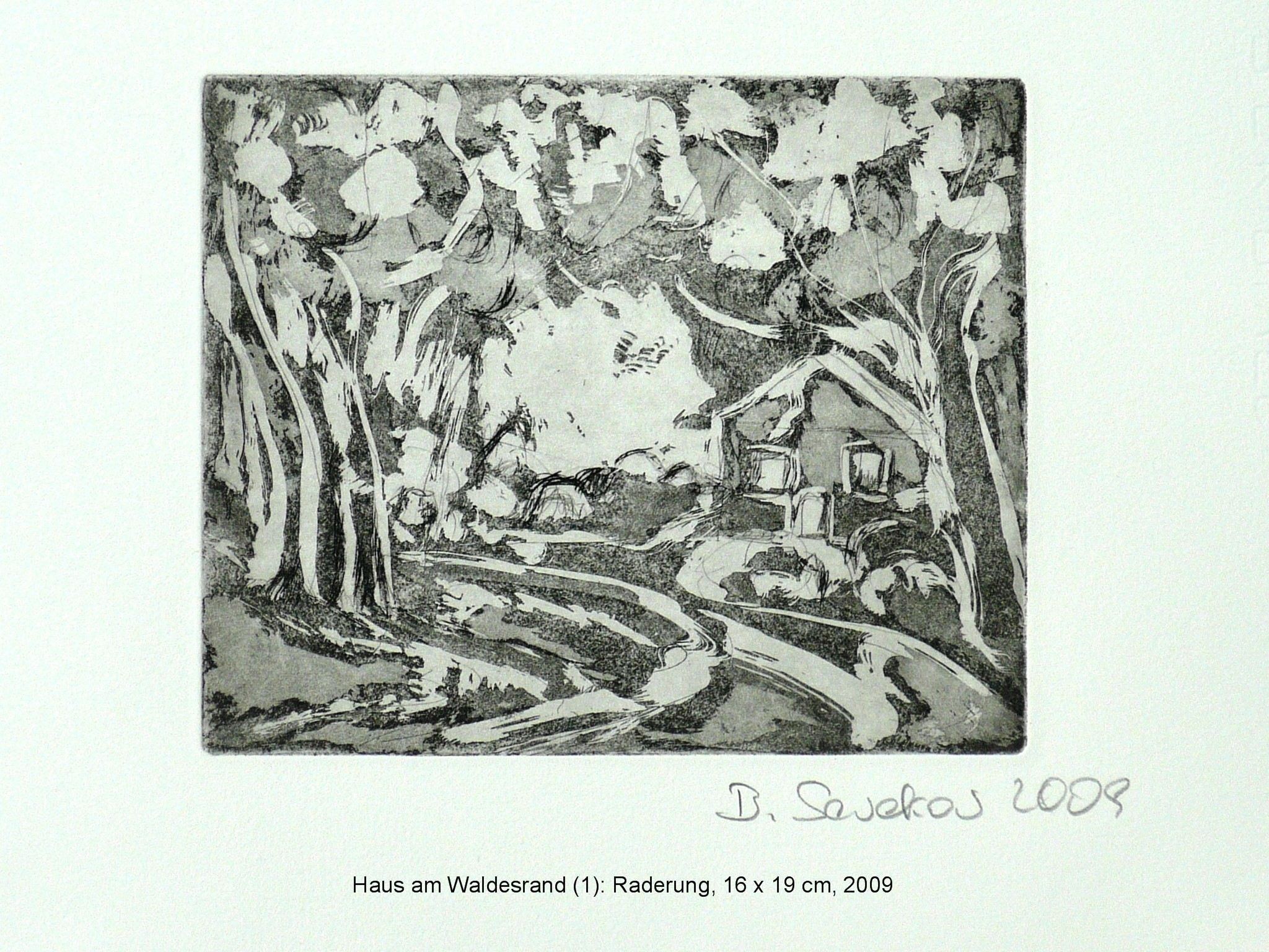 Radierungen www.birgitsewekow.de